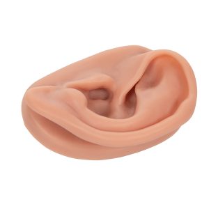 Acupunctuurmodel Oor