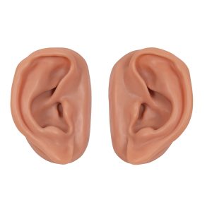 Acupunctuur Oren Modellenset, 20 stuks