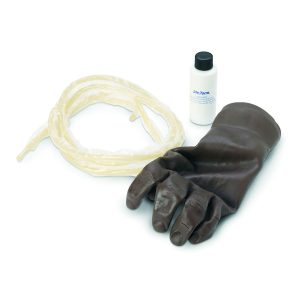 Aders voor Oefenmodel Intraveneuze Injectie Hand