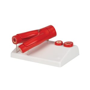 Aderverkalking Model