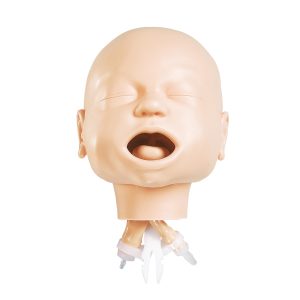 Airway Management Hoofd voor Simulatiepop Traumazorg Baby