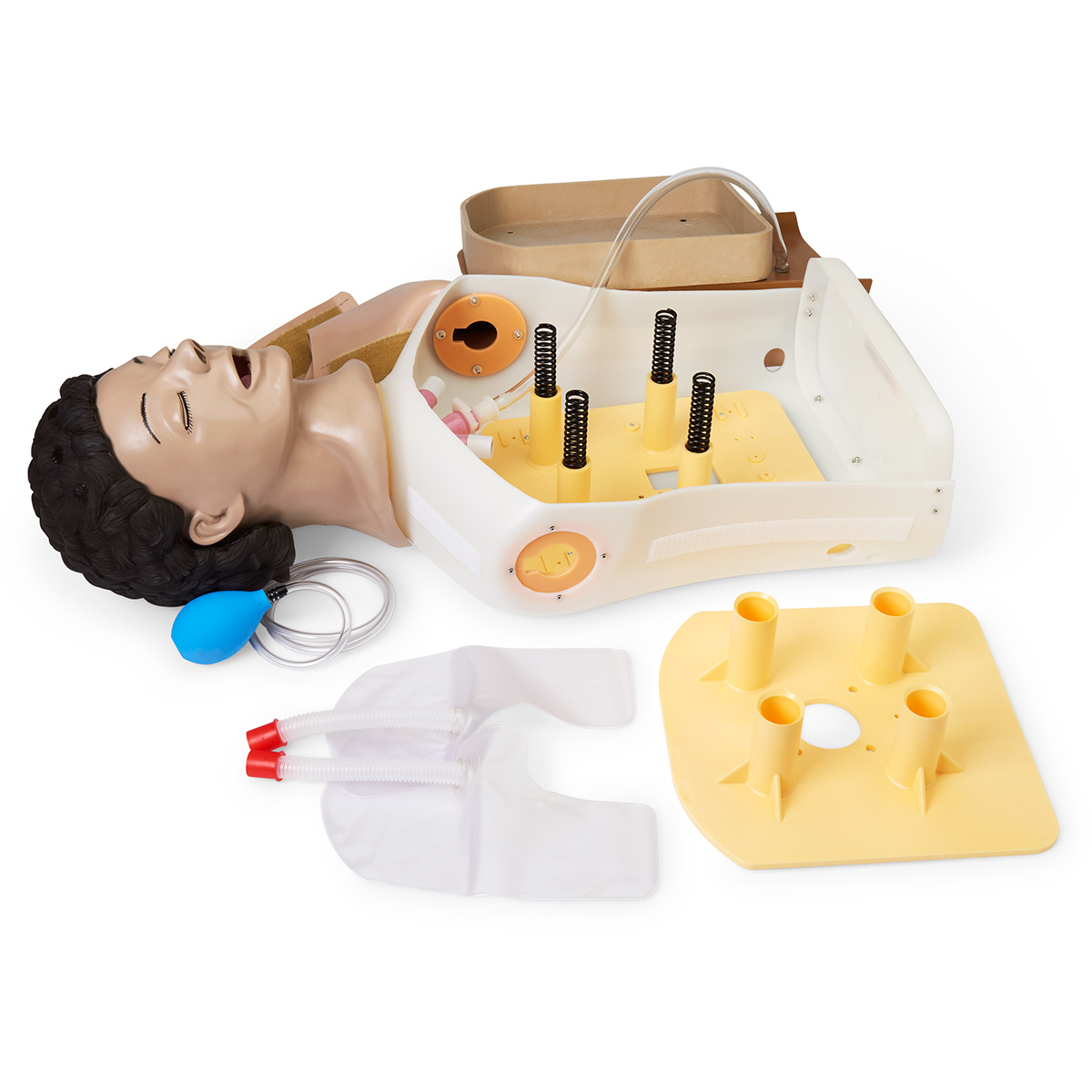 Airway Management Torso