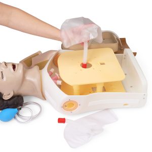 Airway Management Torso