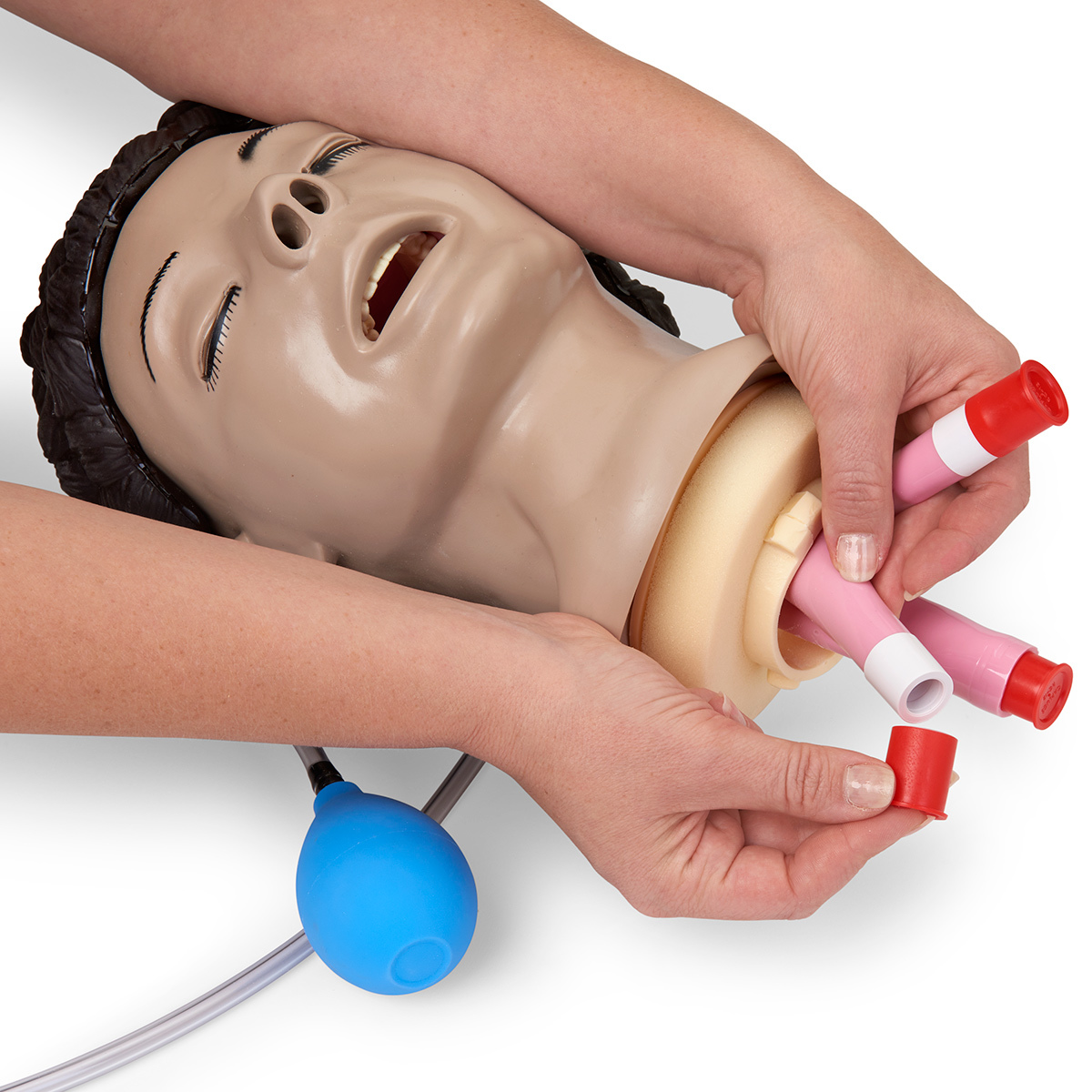 Airway Management Torso