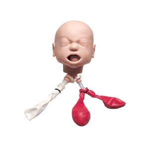Airway Management Trainer Baby