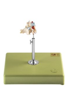Anatomisch Model Halswervel (C VI) met Ruggenmerg