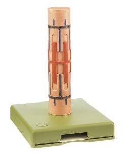 Anatomisch Model Myofibril