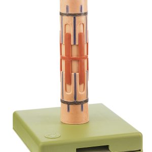Anatomisch Model Myofibril