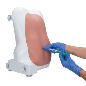 Anatomische Modellenset Anesthesiologie