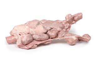 Aorta & Para-aortale Lymfeklieren, 3D Print