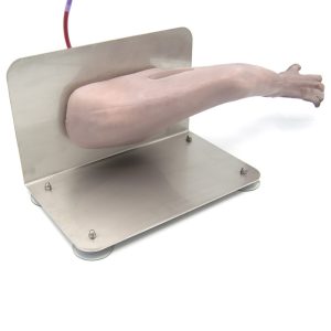 Apenpoot Trainingsmodel