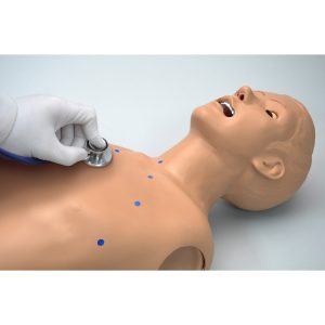 Auscultatie Torso
