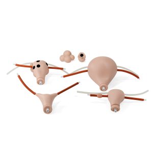 Baarmoeder Set