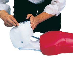 Basic Buddy Reanimatie Pop
