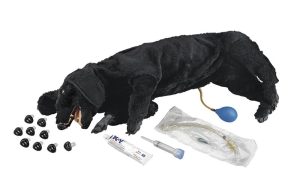 Basis Reanimatie Trainer Hond