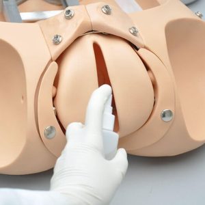 Bevallingssimulator Noelle Torso