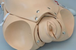 Bevallingssimulator Noelle Torso