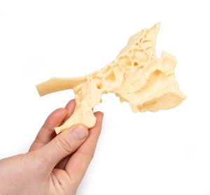 Bijholte Model, 3D Print