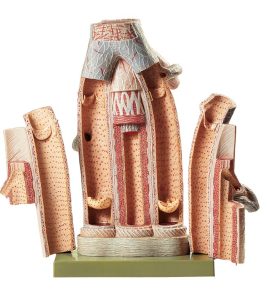 Model Structuur Slagader en Aders