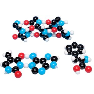 Biochemie Set, uitgebreid