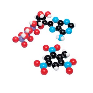 Biochemie Set, uitgebreid