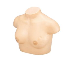 Borstkanker Palpatie Model