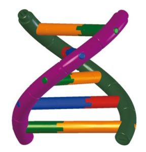 Bouwdoos DNA Dubbele Helix