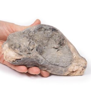 Carcinoom in de Borst, 3D Print