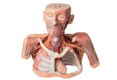 3D Print Modellen