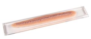 Chirurgische Wond Model