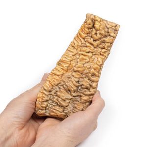 Colitis Ulcerosa, 3D Print