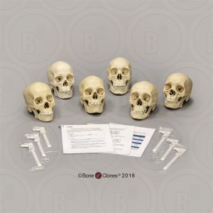 Collectie Forensische Antropologie