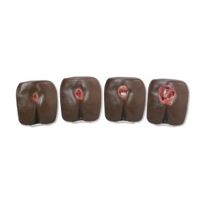 Decubitus Modellen Set (4 stuks)