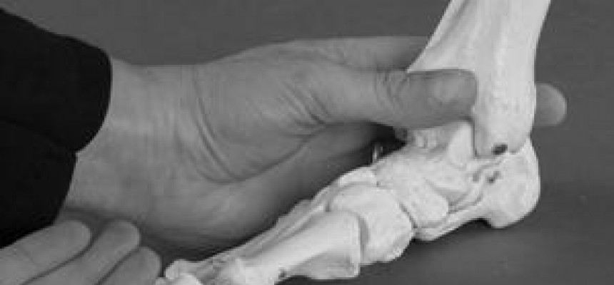 Gratis advies door onze experts