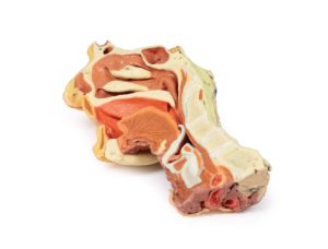 Dissectie Gezicht & Nek - Fossa Infratemporalis, 3D Print