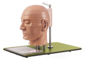 Doorsnede model van het hoofd, SOMSO-model