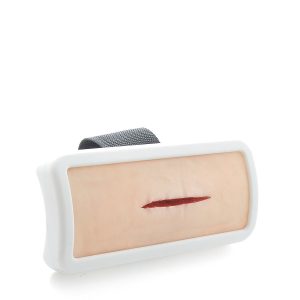Draagbaar Trainingsmodel Hechten