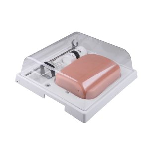Echografie Trainer Adermodel