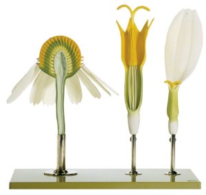 Echte Kamille Model, 3-delig
