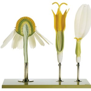 Echte Kamille Model, 3-delig