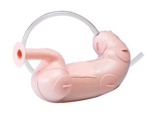Endoscopische Submucosale Dissectie Trainer