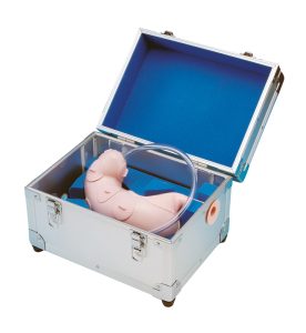 Endoscopische Submucosale Dissectie Trainer
