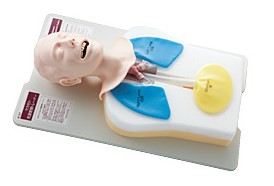 Endotracheale Intubatie Simulator