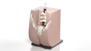 Epidurale en Spinale Injectie Simulator