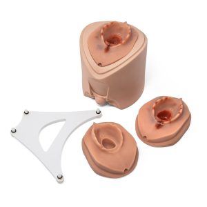 Episiotomie Trainer voor Bevallingssimulator