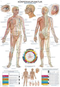 Body Acupuncture, wandplaat 70x100cm
