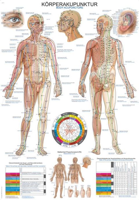 Body Acupuncture, wandplaat 70x100cm