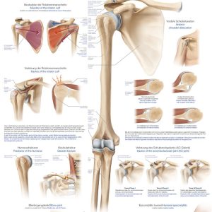 Wandplaat "Schulter und Ellenbogen - Shoulder and Elbow"