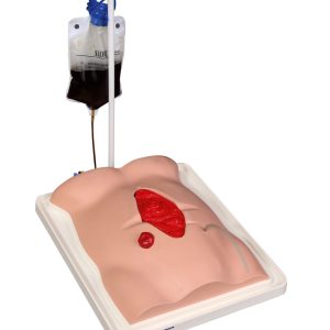 Fistel Vaardigheidstrainer