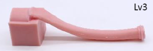Gastroscopie Simulator